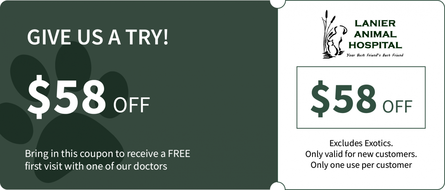 Coupon