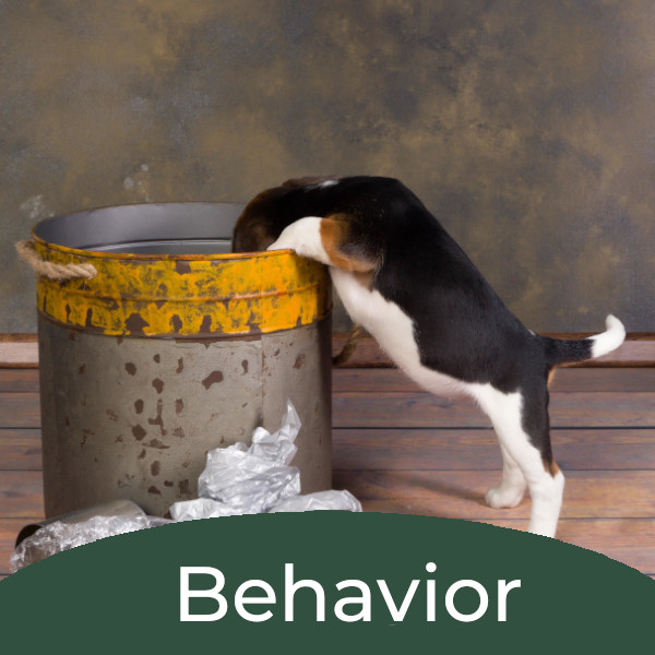 Puppy rifling through trashcan