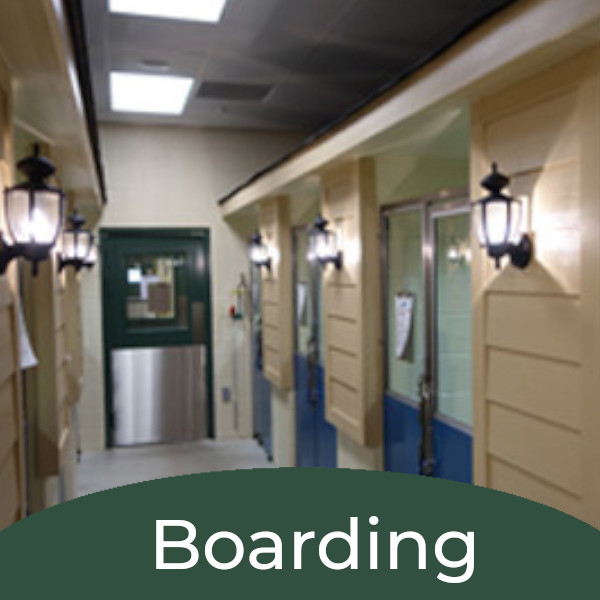 Indoor Boarding Facility