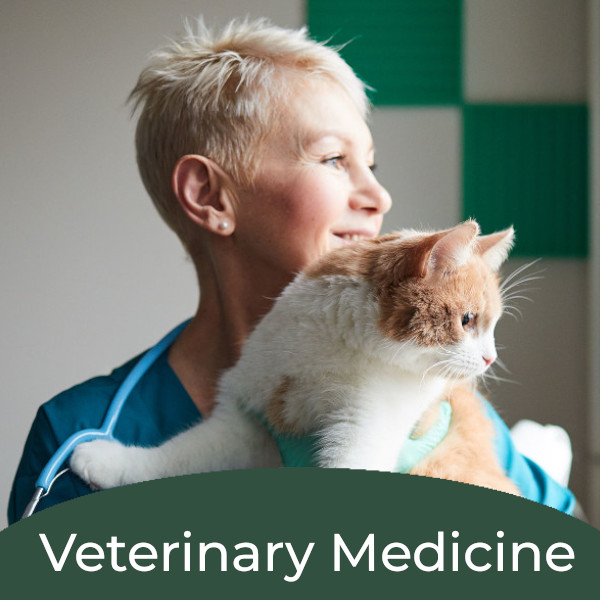 Veterinarian holding cat